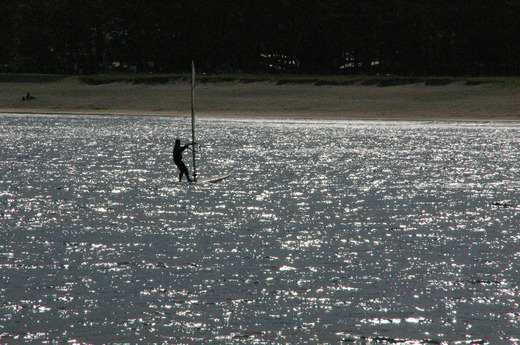 海 ウィンドサーフィン.jpg